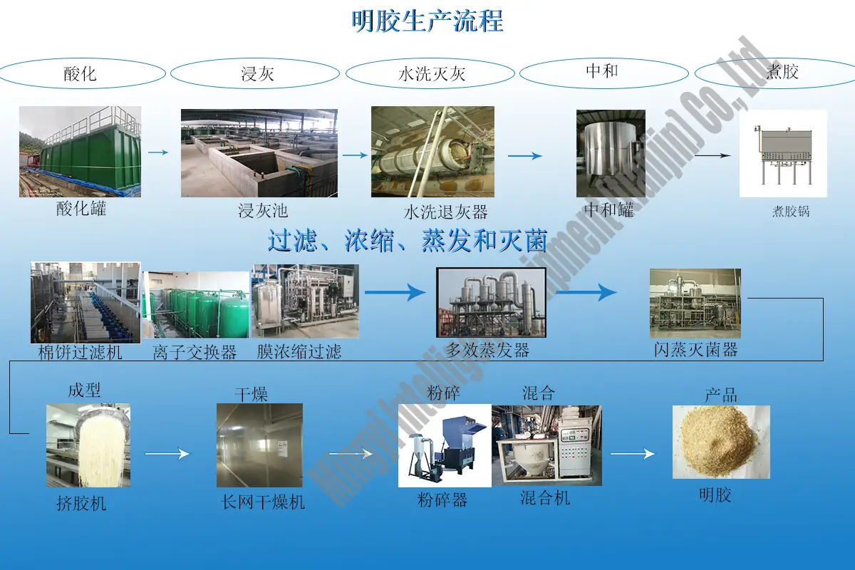 明胶流程-中文(1).webp